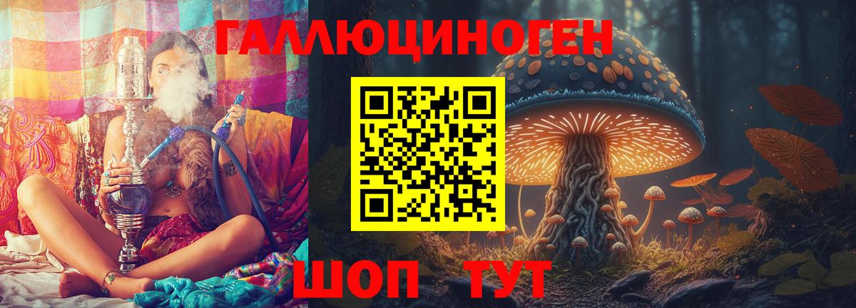 Псилоцибиновые грибы Psilocybe Ростов Великий