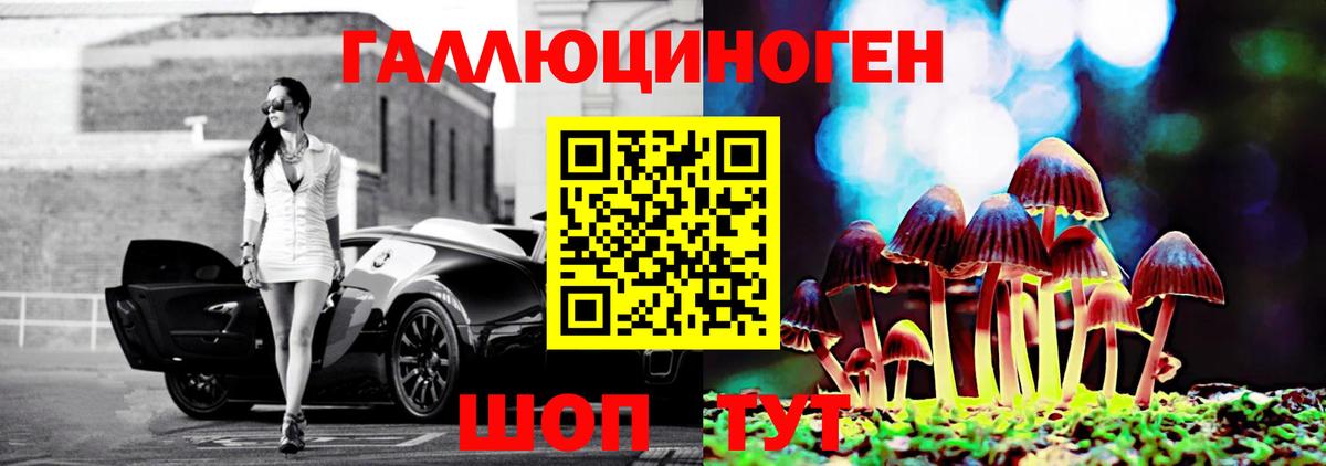 Ростов Великий  Галлюциногенные грибы Cubensis  Вход с VPN 